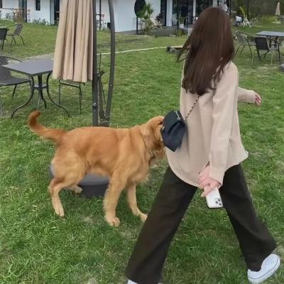 霸气女销售